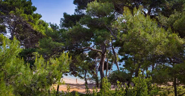 Suha Punta Apartments