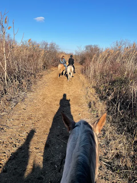 Jamaica Bay Riding Academy