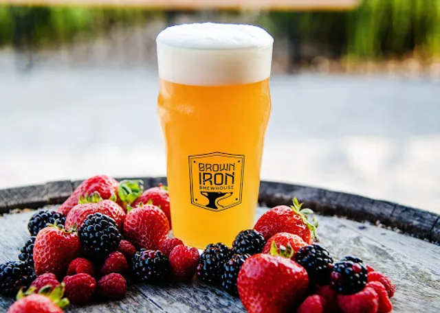 Brown Iron Brewhouse Washington Township