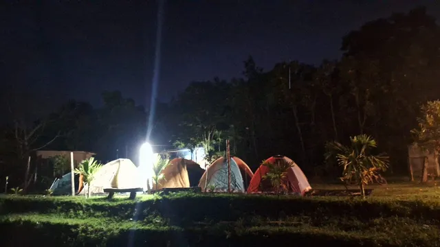 Hilltree Homestay Camp