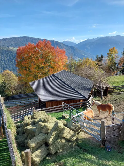 Agriturismo Birkenhof