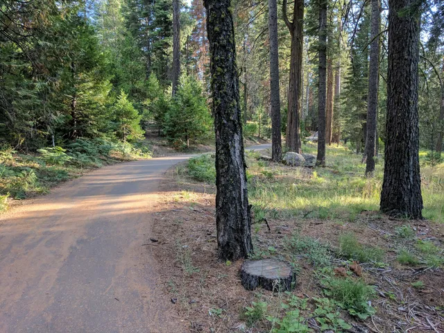 Summit Ranger Station