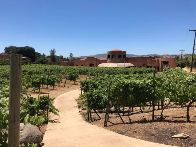 Vinisterra Vitivinícola