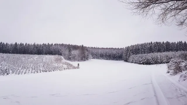 SGV Hütte Drolshagen