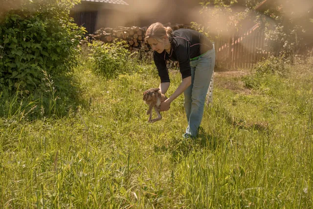 Záchranná stanice pro zraněné živočichy Huslík