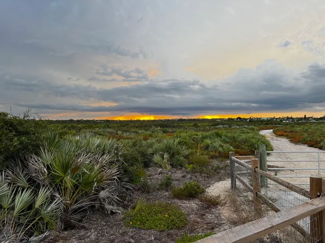 Juno Dunes Natural Area