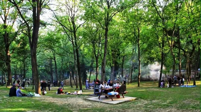 Cephanelik Mesire Alanı