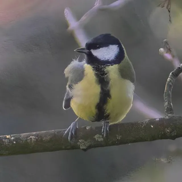Somdet Phra Srinagarindra Park Zoo