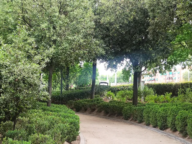 Botánico. Museo del Bonsái Garden