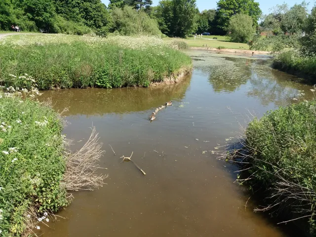 Nantwich Riverside Loop