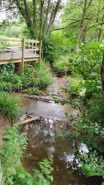 Walshes Park Car Park