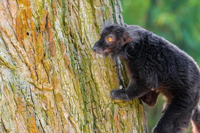 Parc Thermal de Mondorf les Bains