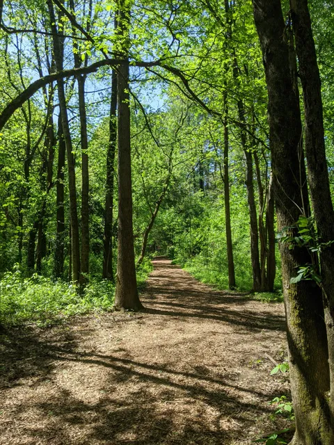 Clyde Shepherd Nature Preserve