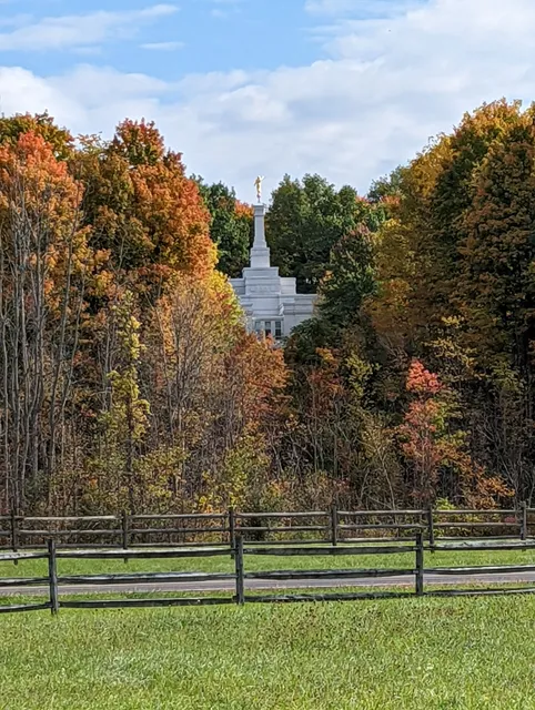 photo-1