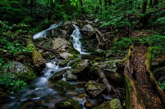 Ferris Lake Wild Forest