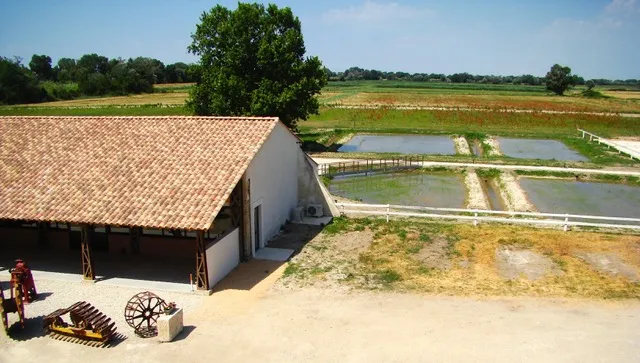 La Maison du Riz