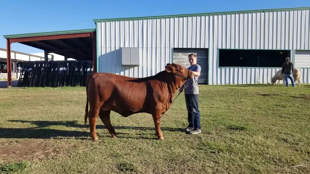 Fort Bend County Fairgrounds
