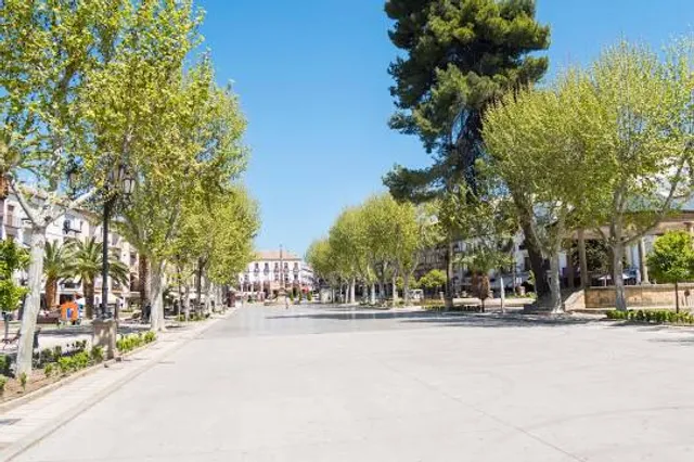 Paseo de la Constitución