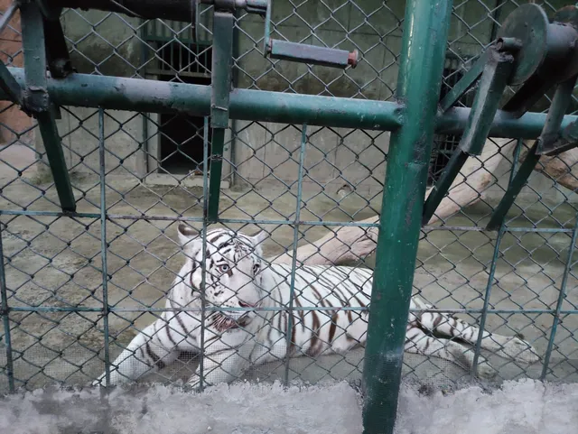 Zoo Citi Housing Society