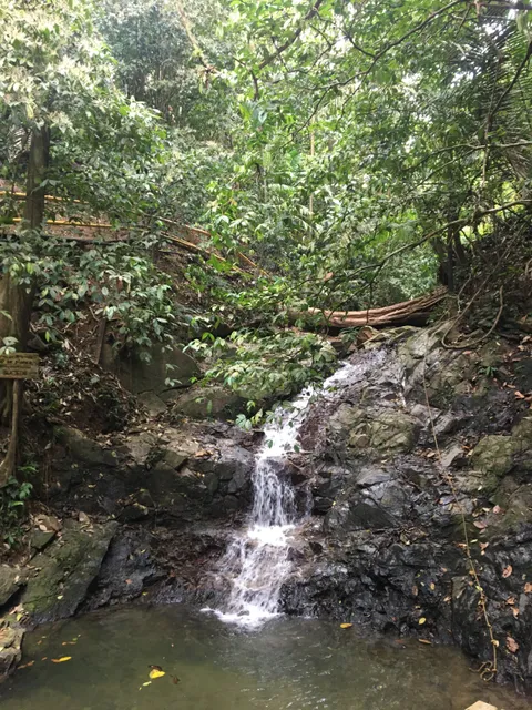 Reserva Natural El Cielo