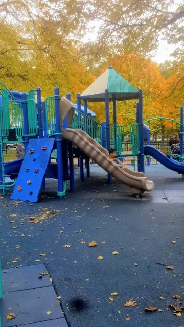 Piotrowski (Lillian) Park