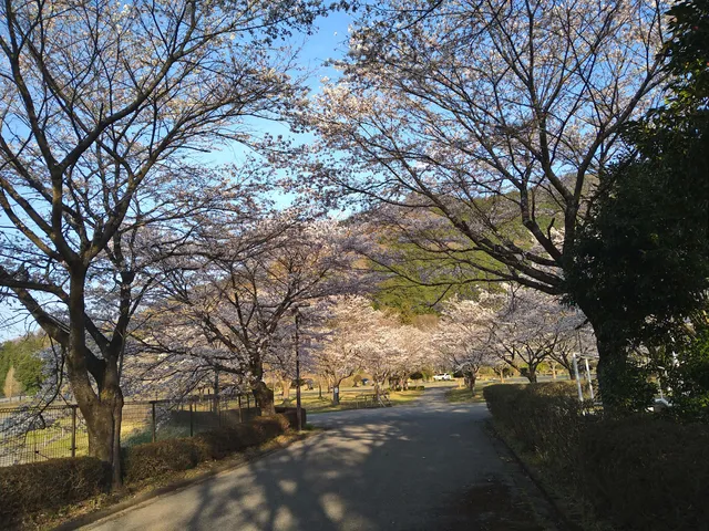 Kanuma Shiritsu Awano Sogoundo Park