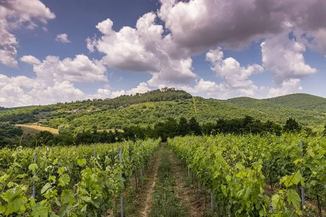 Castello di Montegiove