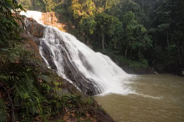 Taman Negara Endau-Rompin