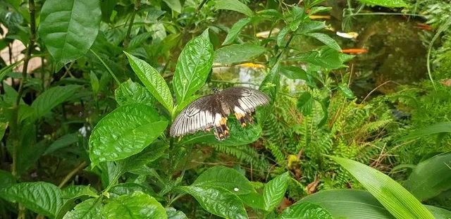 Naturospace Honfleur