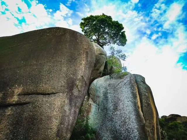 Tree In The Rock, Historical Site