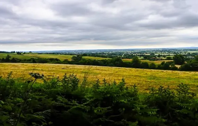 Hartshill Hayes Country Park