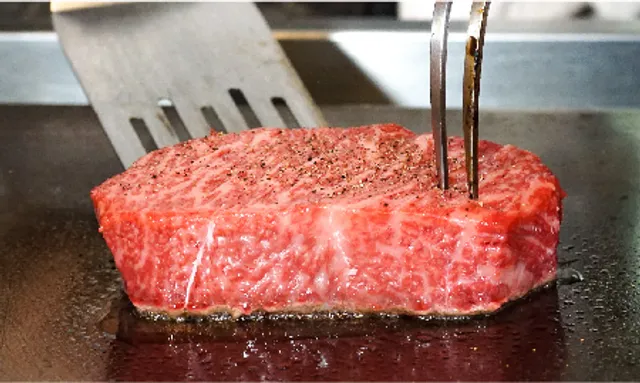 Fuyukukan (Fuyukukan) Atelier Doi Steak House