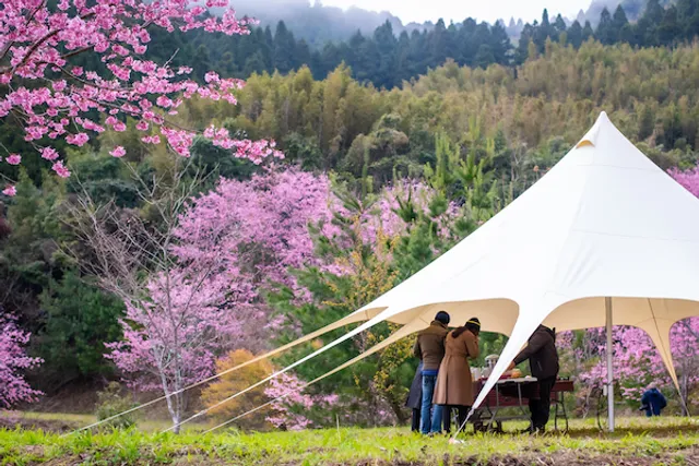 蟬說: 霧語 Chanshuo WooYuu