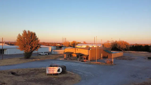 Companion Veterinary Services