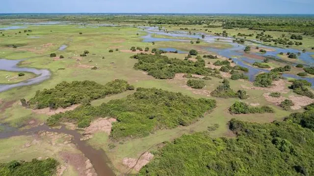 Rio Ivinhema State Park