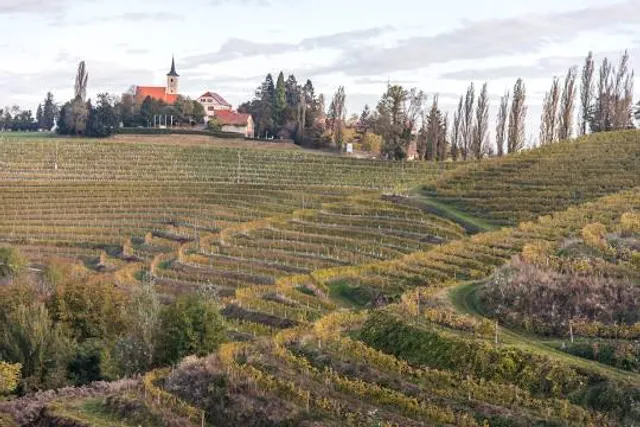 Barockschloss Delitzsch