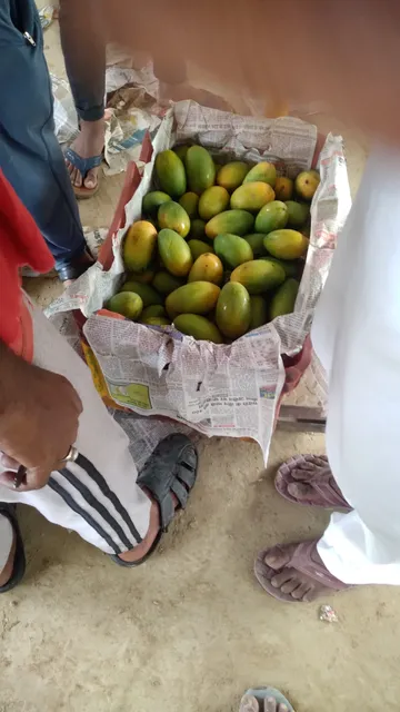 Near Holi gate Arya samaj road