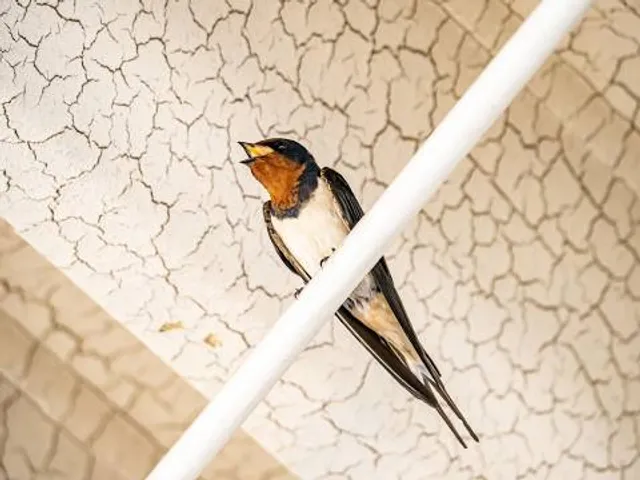 The Toy Train Barn Museum