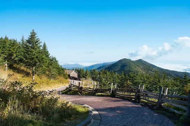 Mount Mitchell State Park