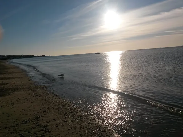 Sound View Beach Association Inc