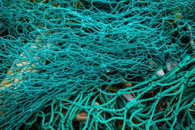 recreational area the Llosalín