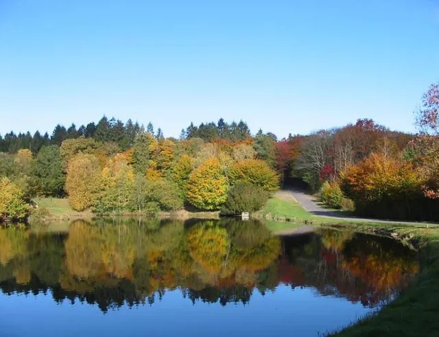 Étangs du Vieux Château