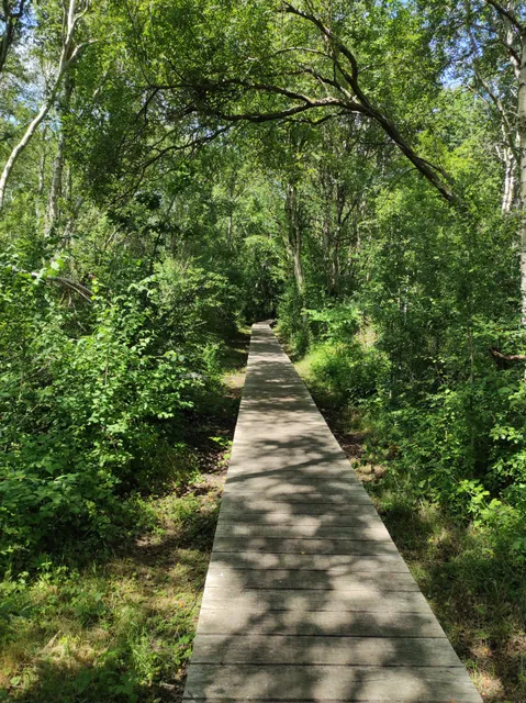 Sentier des Fauvettes