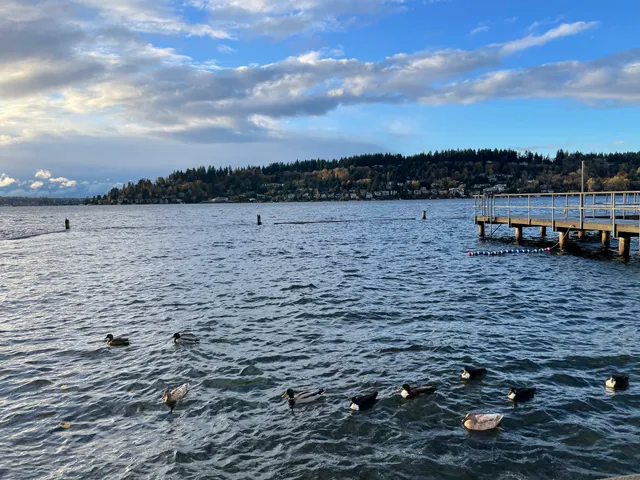 Kennydale Beach Park