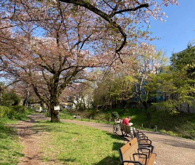 Zanborigawaryokudo Park
