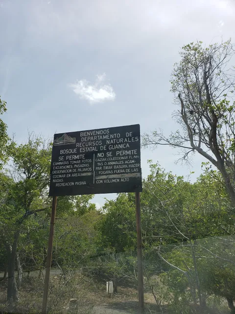 Bosque Seco de Guanica