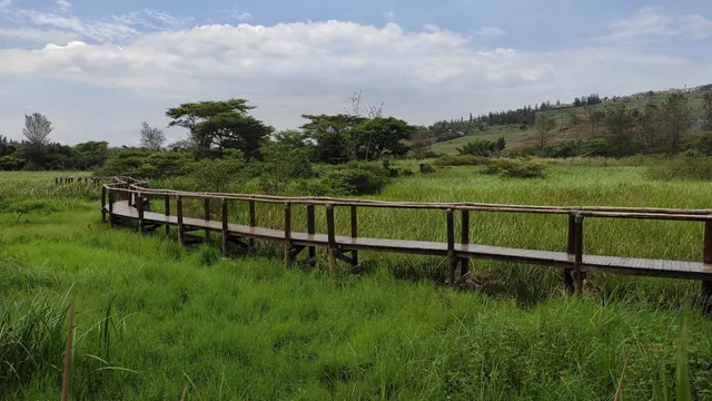 Umusambi Village - Cranes