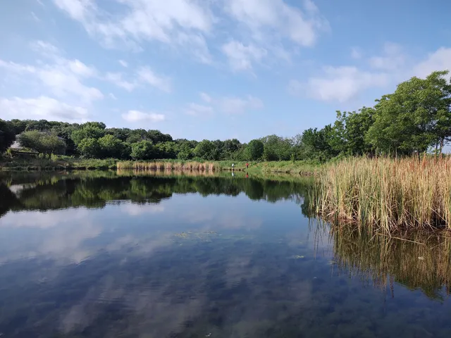 Sheri Capehart Nature Preserve