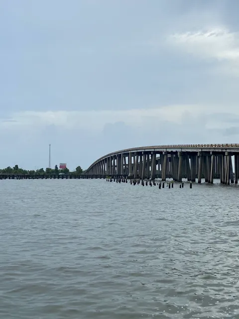 The Manchac Swamp Bridge