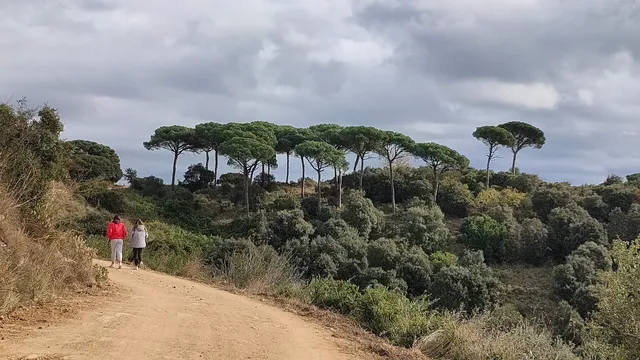 Parque de la Cordillera Litoral (Parc de la Serralada Litoral)